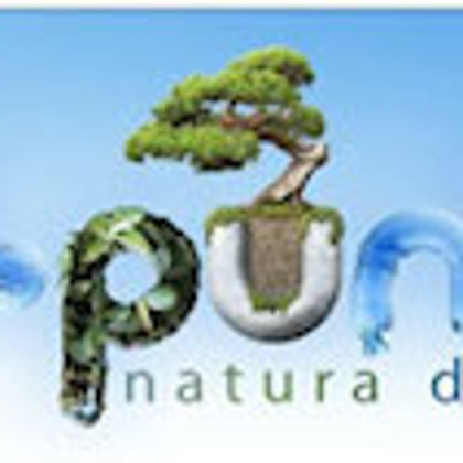 http://www.aquaria.co.rs/